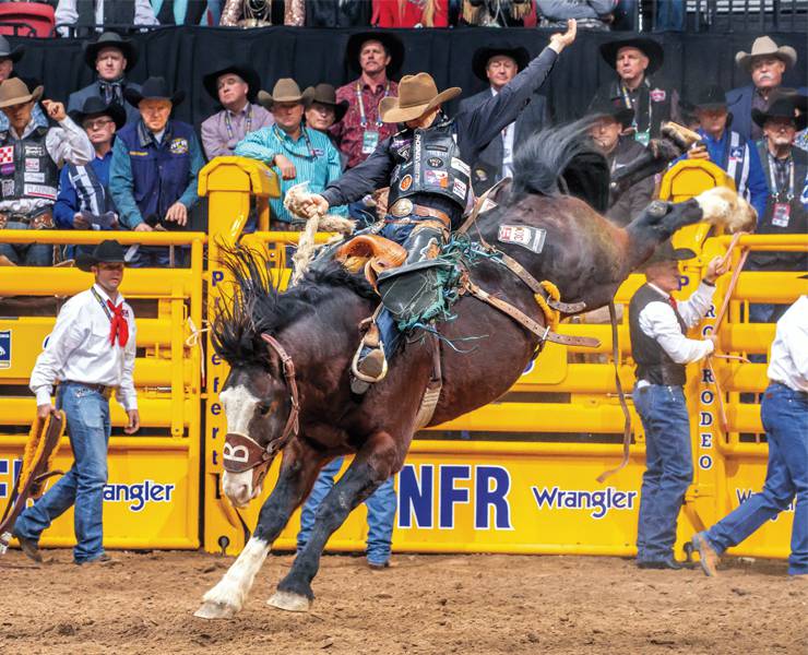 Top Rated PRCA PRO Rodeo in Utah Ogden Pioneer Days